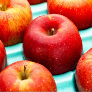 JA上伊那の「サンふじ」