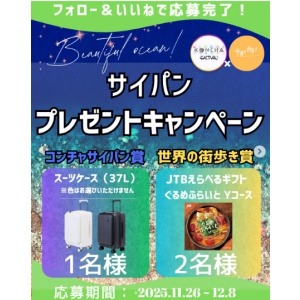 スーツケース（37L） 他