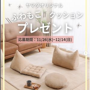 ヤマダオリジナル クッション・ラグ