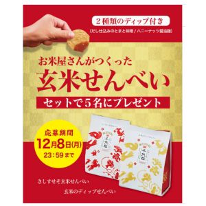 お米屋さんがつくった玄米せんべいセット