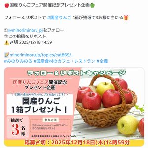 国産りんご 1箱