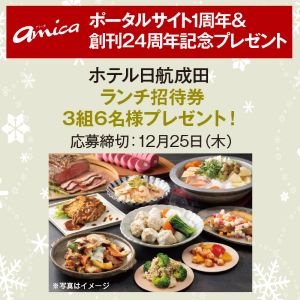 ホテル日航成田ランチ招待券