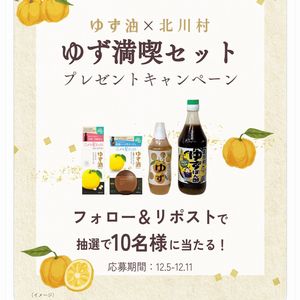 北川村ゆずを使った4品セット