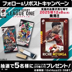 ウエハース 1箱