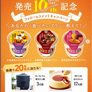 Re・De Pot 電気圧力鍋　他