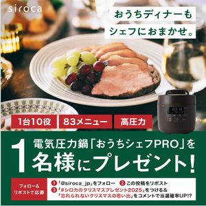 電気圧力鍋 おうちシェフPRO