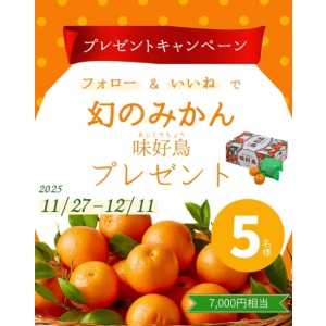 みかん「味好鳥」2kg