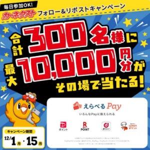 えらべるPay最大10,000円分
