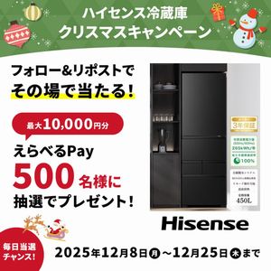 えらべるPay 最大10,000円分