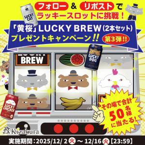 黄桜 LUCKY BREW 350ml缶2本