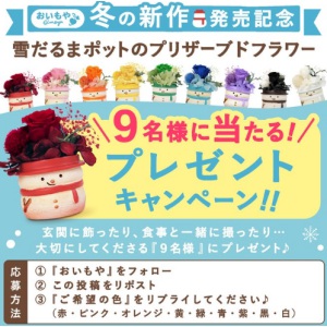 雪だるまプリザーブドフラワー