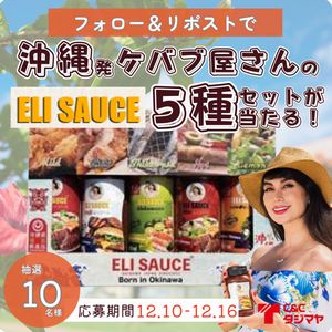 エリソース 5種セット