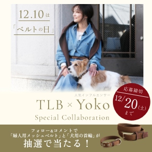 婦人用メッシュベルト＆犬用の首輪　他