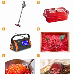 ダイソン サイクロン式コードレス スティッククリーナー　他