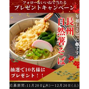 長州 自然薯そば