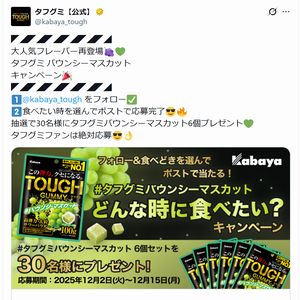 タフグミバウンシーマスカット6個