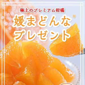 プレミアム柑橘「媛まどんな2kg」