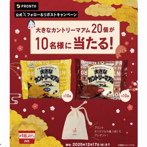 ポケモンオリジナルグッズ