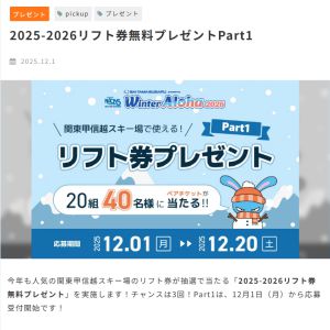 リフト券　ペアチケット