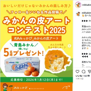 青島みかん(優L/4kg)4kg分