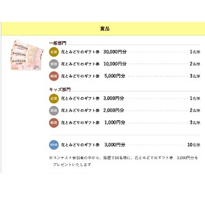 花とみどりのギフト券3万円分 他
