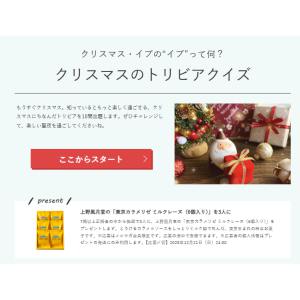 東京カラメリゼ ミルクレーヌ（6個入り）