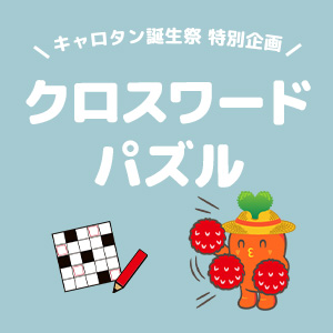 人参ジュース「ザ・人参」パウチ