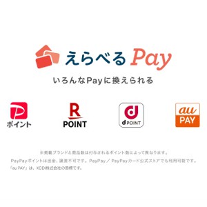 先着10万名にえらべるPay100円分