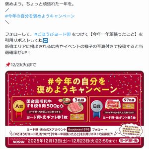 国産黒毛和牛すき焼き肉500g　他
