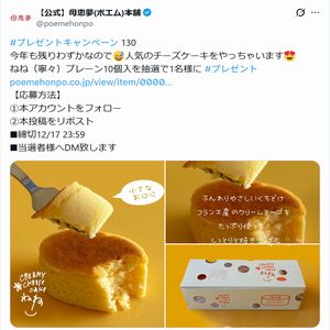 チーズケーキ ねね（寧々）プレーン
