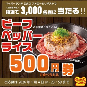 ビーフペッパーライス500円引きクーポン