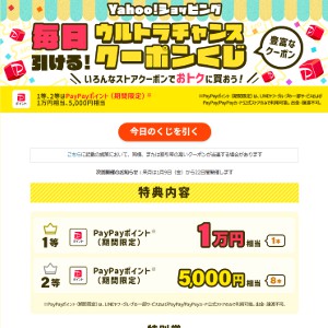 PayPayポイント1万円相当 他