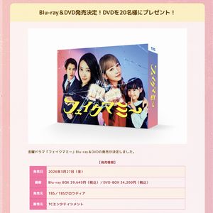 ドラマ『フェイクマミー』DVD