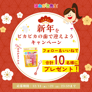 はみがきフロス