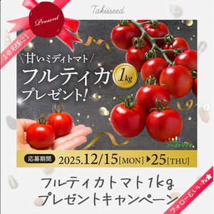 ミディトマト「フルティカ」1kg