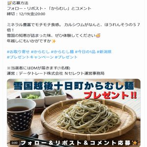 雪国越後十日町 からむし麺