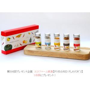 エコファーム飯島　スパイス5点セット