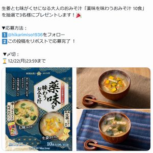 薬味を味わうおみそ汁 10食