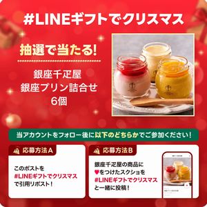 銀座千疋屋 銀座プリン詰合せ6個