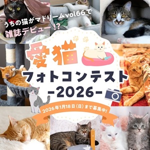 猫グッズ詰め合わせ