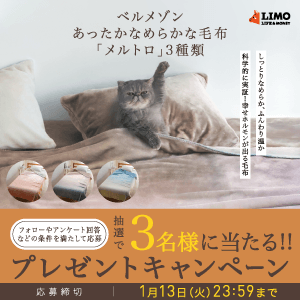 ベルメゾン「meltoro あったかなめらかな毛布」