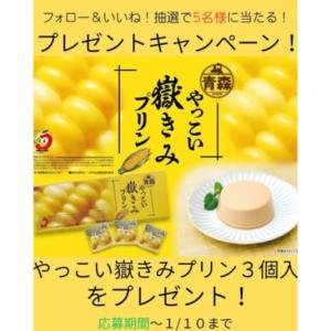 やっこい嶽きみプリン３個入