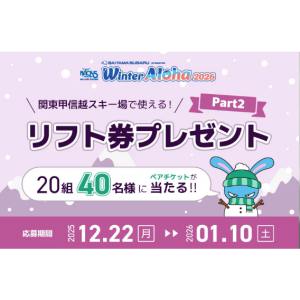 関東甲信越スキー場リフト券
