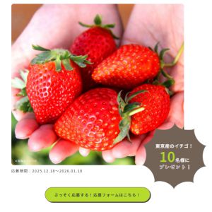 東京産のイチゴ