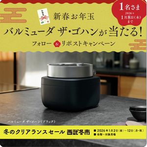 バルミューダ ザ・ゴハン