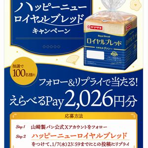 えらべるPay2,026円分