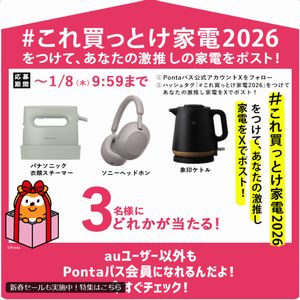 パナソニック 衣類スチーマー　他