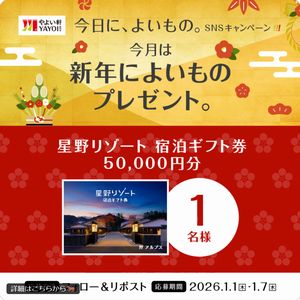 星野リゾート宿泊ギフト券5万円分