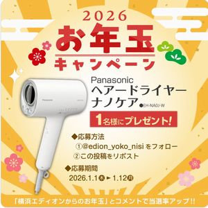 パナソニック ヘアードライヤーナノケア