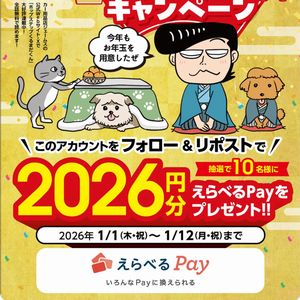 えらべるPay 2,026円分